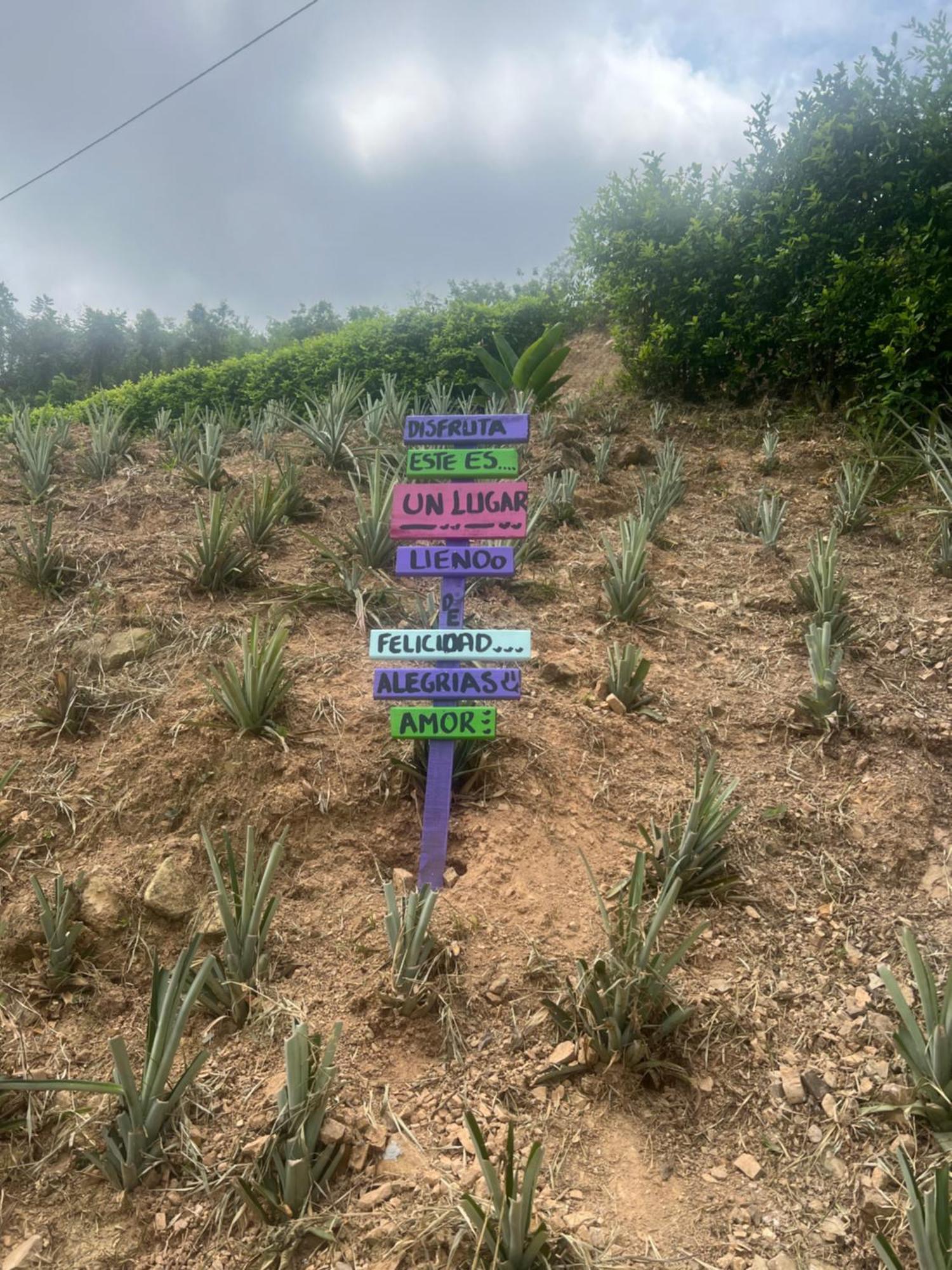 Finca Don Matias Melgar Zewnętrze zdjęcie